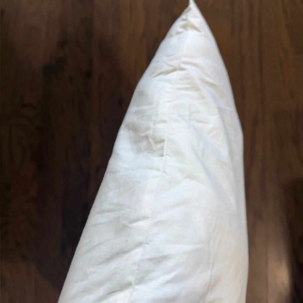 Pottery Barn 2 Pillow Inserts Size 20x20